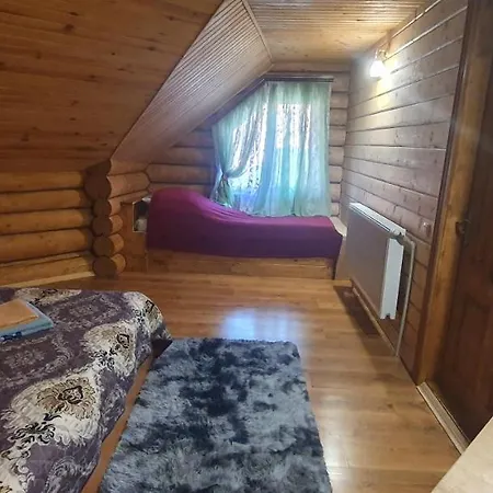 펜션 прутець 미쿨리친